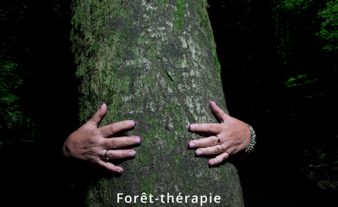 Cours Forêt-Thérapie 10