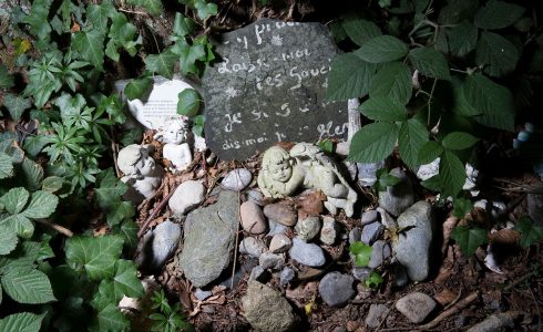 Cours Forêt-Thérapie 18