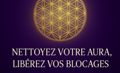 Atelier de formation sur l’aura et le corps énergétique. Sur demande.
